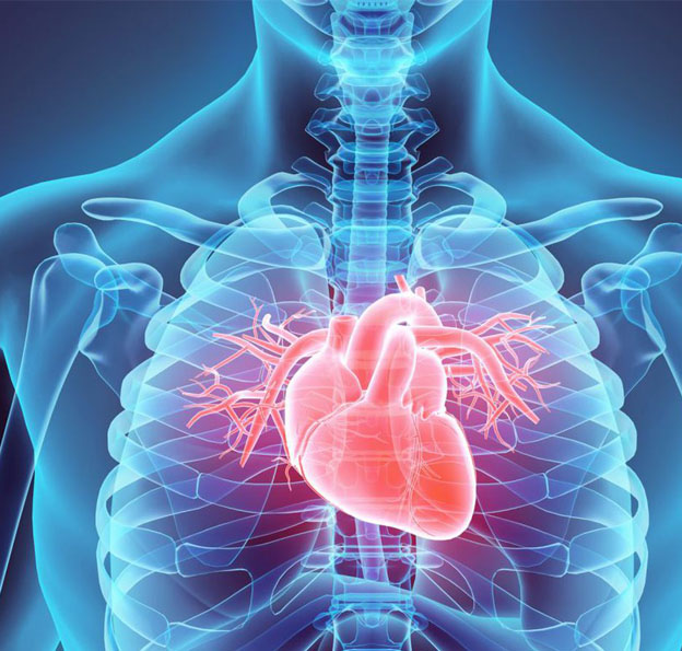 Cardiologie